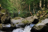 Wandern in der Buchberger Leite